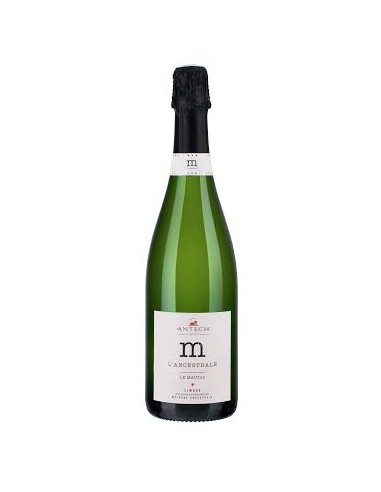 Bouteille M l'Ancestrale - Famille Antech
