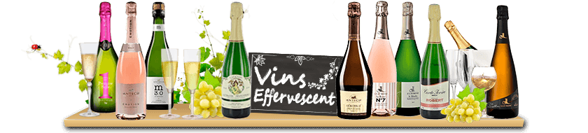 Vins Effervescent