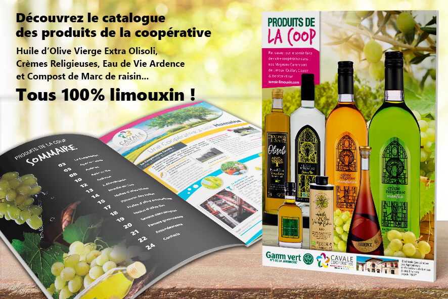 Catalogue